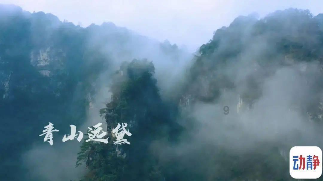 救援小蝙蝠